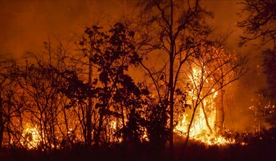 Death Toll from Raging Wildfires in Los Angeles Rises to 24